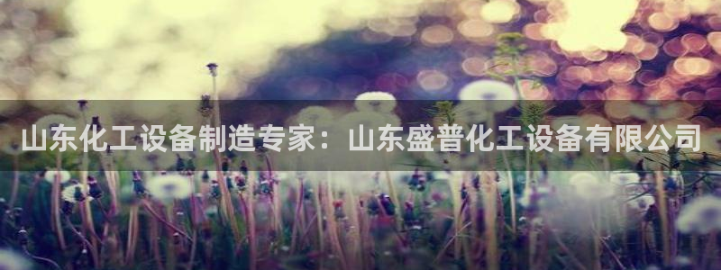 新宝gg一创造奇迹代理