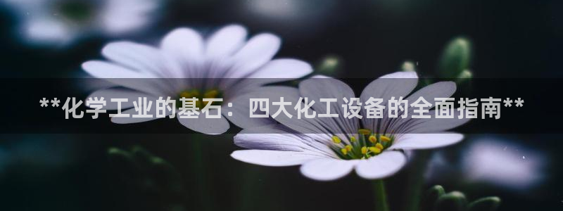 新宝GG平台注册开户
