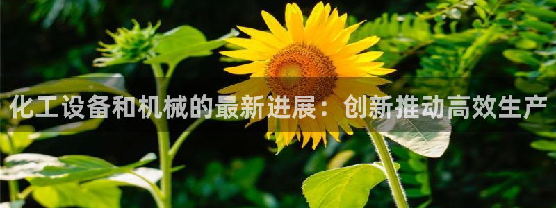 新宝gg平台注册网址