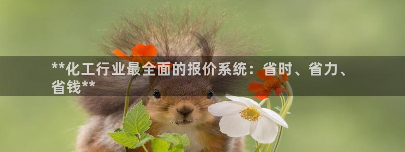 新宝gg为什么登不上去了