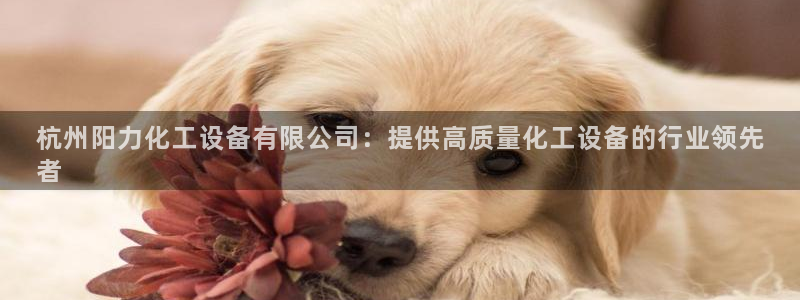 新宝gg登录了还能上吗