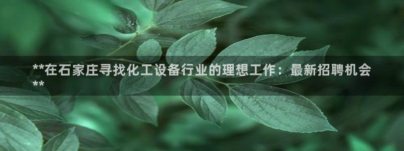 新宝gg官网登录代理