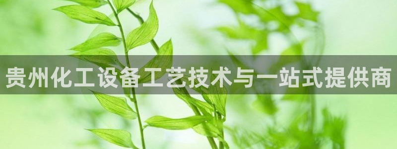 新宝gg最简单登录方法