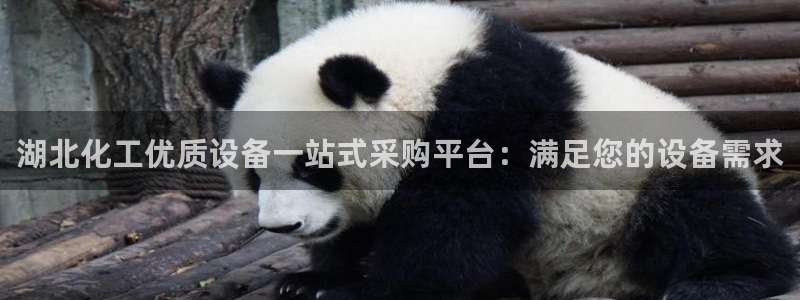 新宝gg登录不了是什么原因
