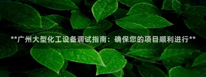 新宝gg创奇迹登录注册