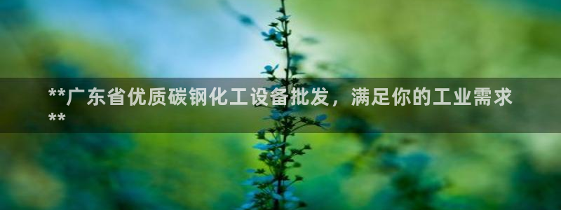 新宝gg创造奇迹登录入口