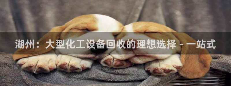 新宝gg平台—创造奇迹登录首页