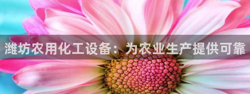 新宝gg创造奇迹登录首页