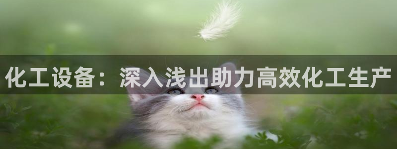 新宝gg怎么退钱