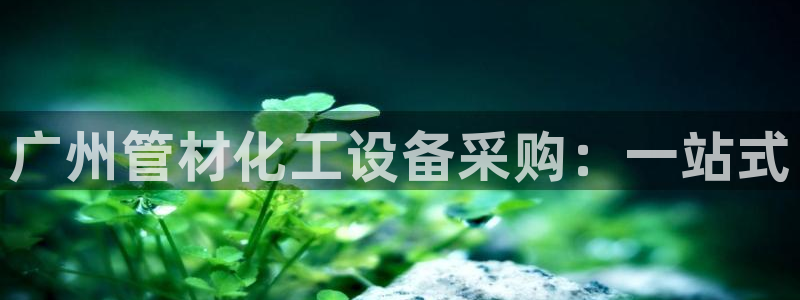 新宝gg5一创造奇迹代理