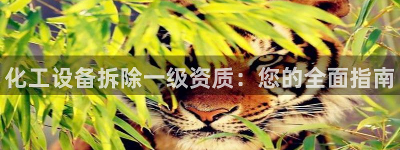 新宝gg上线被抓