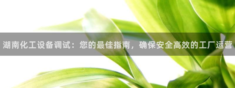 新宝gg官网最新版本更新内容介绍