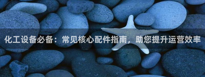 新宝gg平台登录手机版