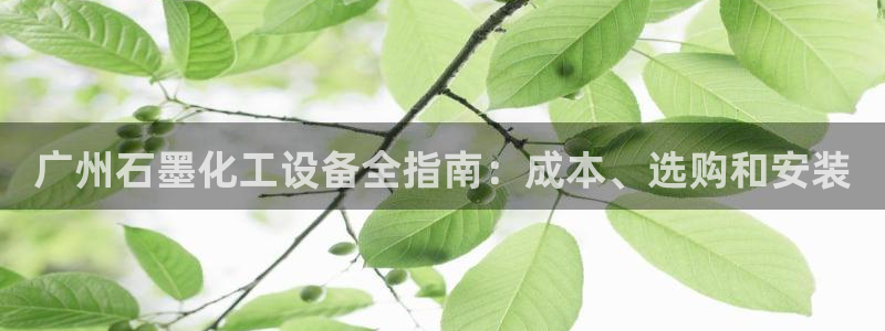 新宝gg平台登录手机版