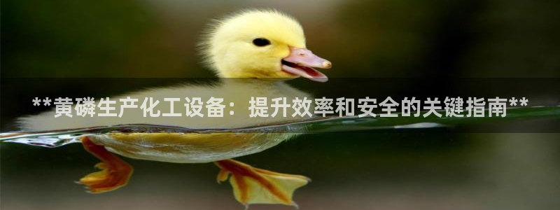 新宝gg创造奇迹平台怎么样