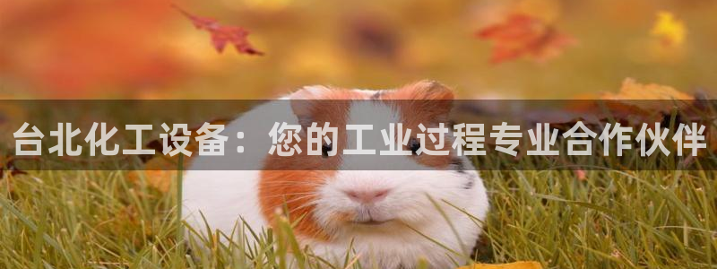 新宝gg创造奇迹登录入口