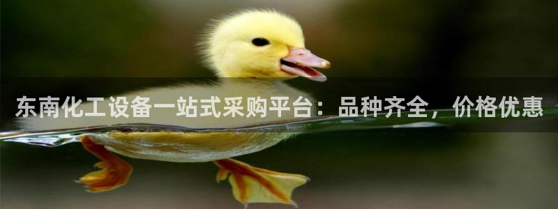 新宝gg一创造奇迹代理测速