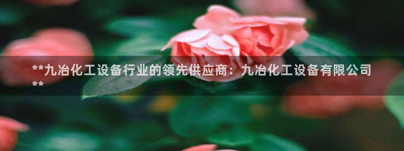 新宝gg登录不上去了了