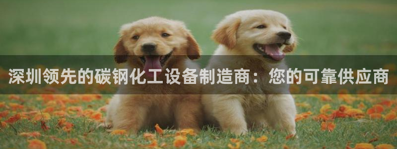 新宝gg平台—创造奇迹登录首页