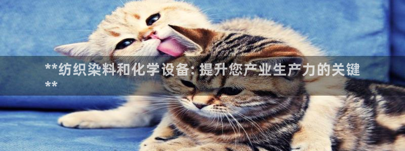 新宝gg一创造奇迹登录龙,虎,和