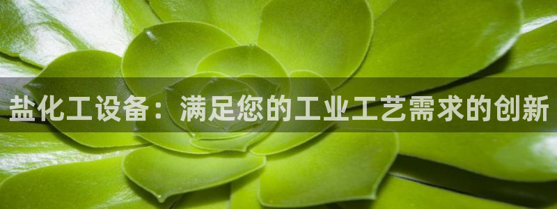 新宝gg平台注册?