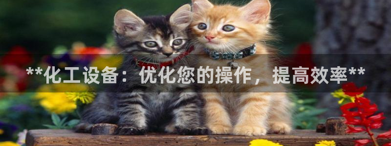 新宝gg一创造奇迹登录龙,虎,和