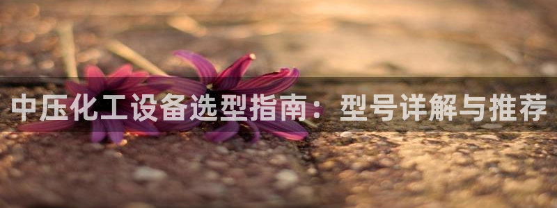 新宝GG平台招商