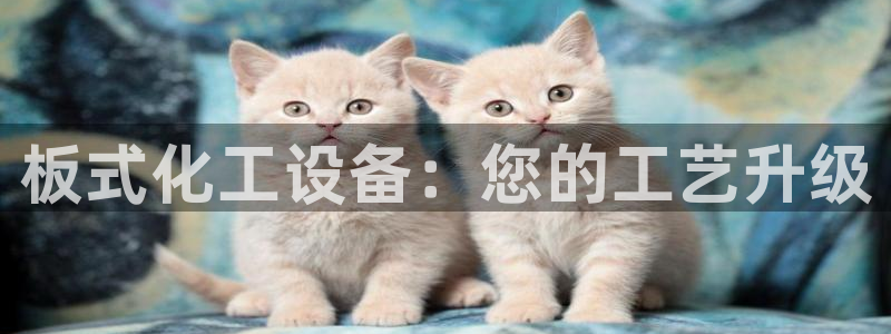 新宝gg平台―创造奇迹登录