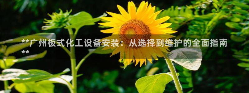 新宝gg一创造奇迹登录