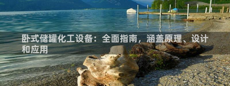 新宝gg手机版登录官网