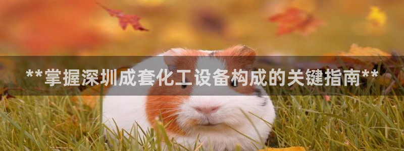 新宝gg创造奇迹登录入口网址