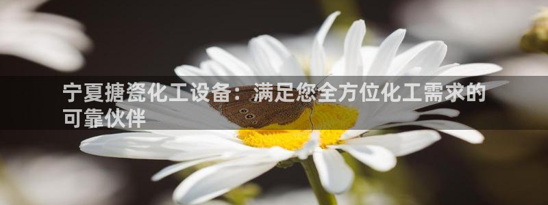 新宝GG创奇迹