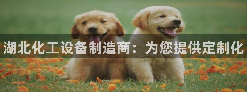 新宝gg案件