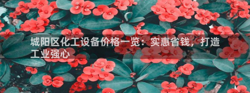 新宝GG平台负责人