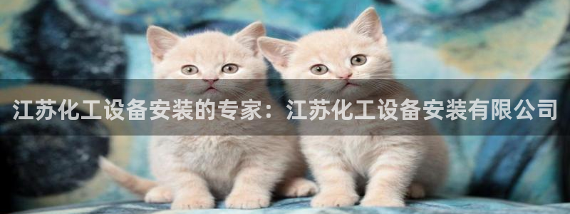 新宝gg创造奇迹平台怎么样