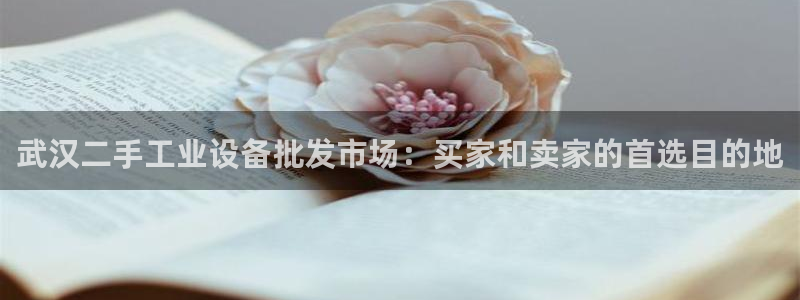 新宝gg平台是否合法
