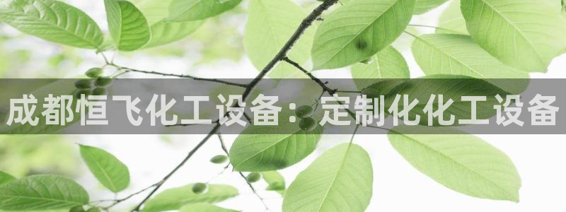 新宝gg登录不上去了