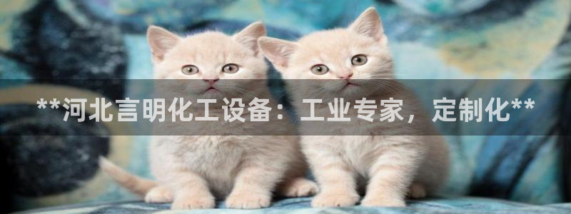 新宝GG创奇迹