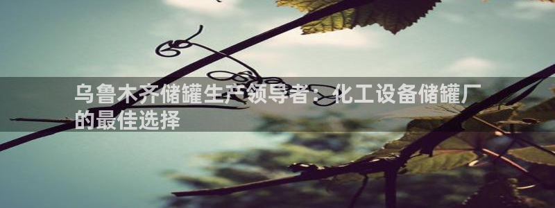 新宝gg手机版登录官网
