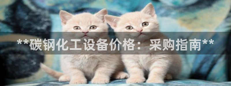 新宝gg创造奇迹登录注册玩法