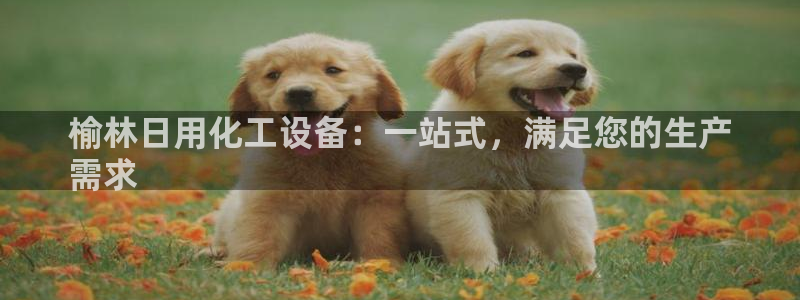 新宝gg5账号登录