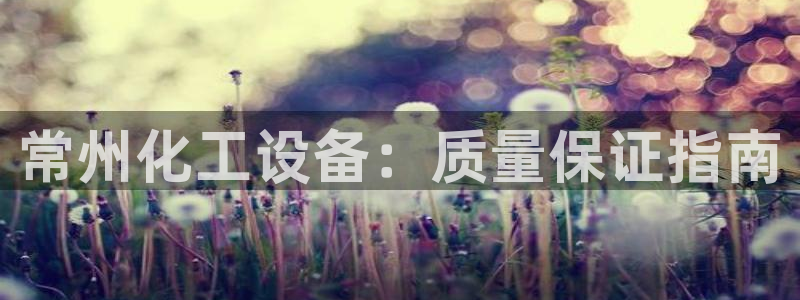 新宝gg案件