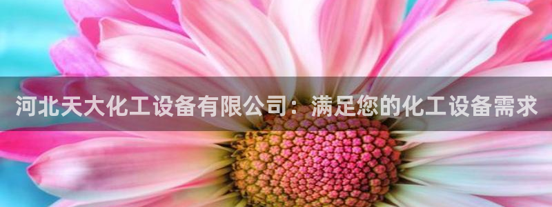 新宝gg一创造奇迹登陆