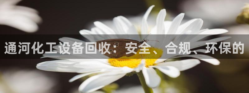新宝gg创造奇迹为什么登录不了了