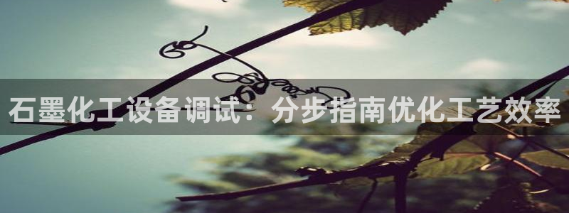 新宝gg平台注册登录指南
