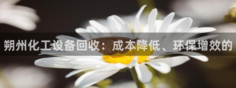 新宝gg怎么登录不了