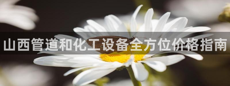 新宝gg — 创造奇迹!