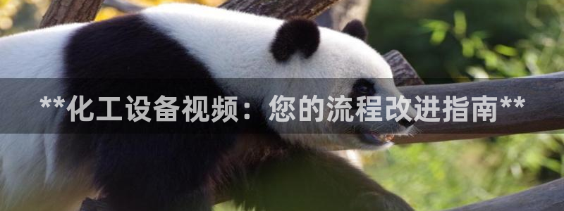 新宝gg创造奇迹为什么登录不了了