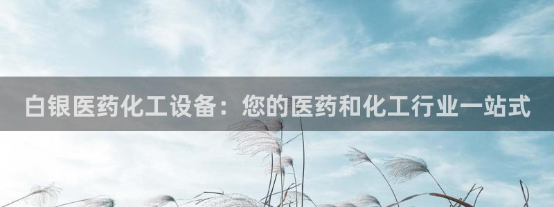 新宝gg创造奇迹登录入口网址