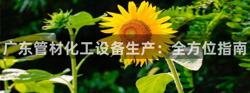 新宝gg登录了还能上吗